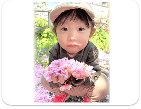 落ちた桜の花びらを集める園児