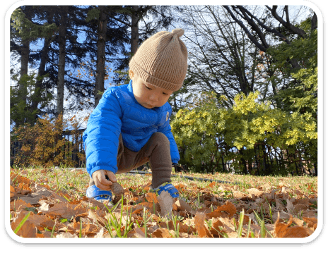お外で落ち葉の中から松ぼっくりを見つけて拾う園児