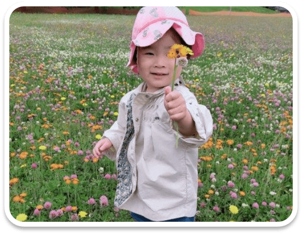 落ちた桜の花びらを集める園児